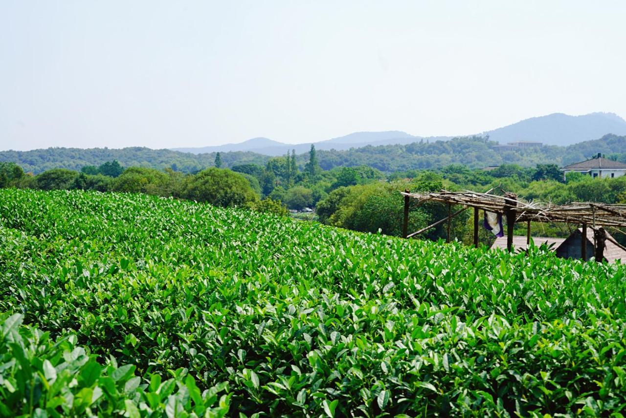 The Mountain Hotel Hangzhou Esterno foto